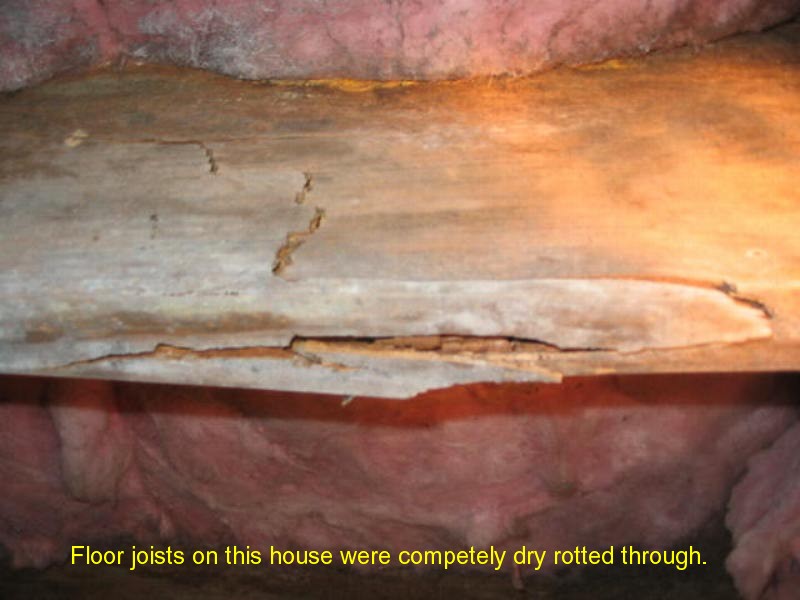 Todd King Home Inspections structural inspection photo 13