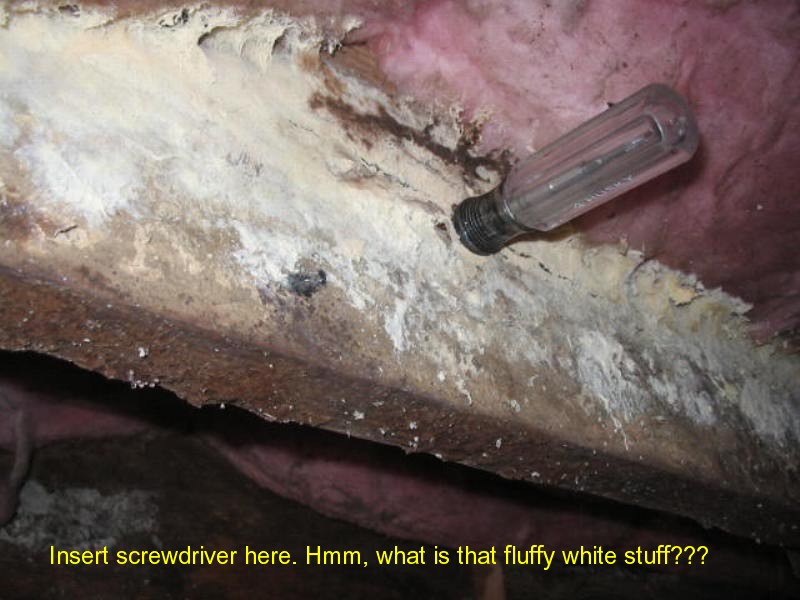 Todd King Home Inspections roof inspection photo 14