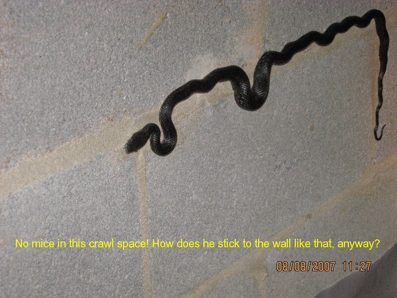 Todd King Home Inspections exterior inspection photo 34